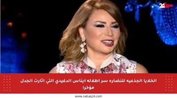 الخلايا الجذعية للنضارة سر إطلالة إيناس الدغيدي التي أثارت الجدل مؤخرا